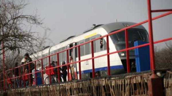 cfr calatori vaca de muls pentru baietii destepti