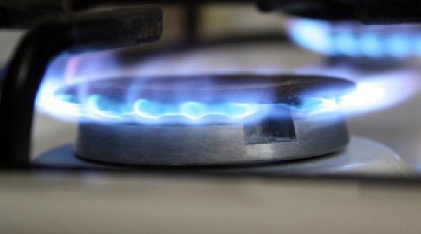 directorul romgaz anul acesta nu cerem scumpirea gazelor