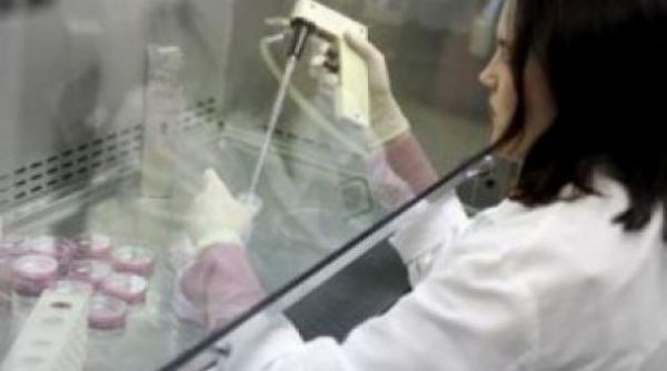 romanca arestata in bulgaria pentru trafic cu ovule