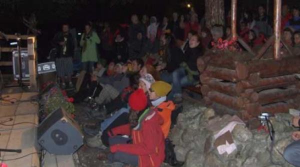 a aparut floarea de folk