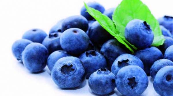 afinele insulina vegetala