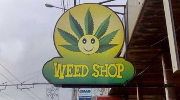 magazinele de vise continua sa fenteze legea