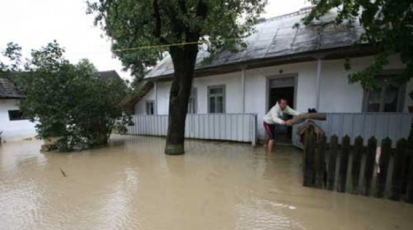 revolutia verde sabotata de stat