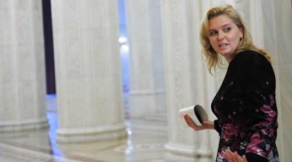 de la pixelul albastru la hotia robertei