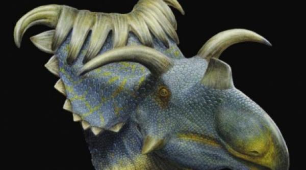 dinozaur cu 15 coarne descoperit in sua