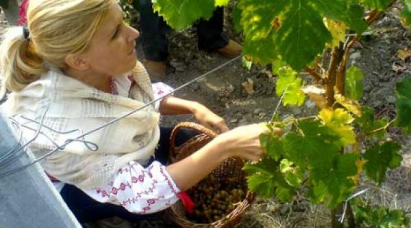 450 000 euro risipiti la shanghai