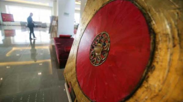 arta bioenergie si stiinta