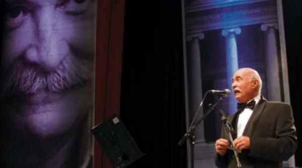 cavalerii felinarelor tarzii