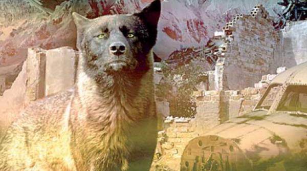 ozzy pentru elevi si studenti