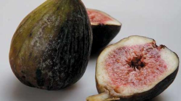 fructe desavarsite de timp