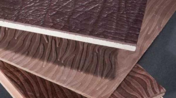 interioare finisate in piele