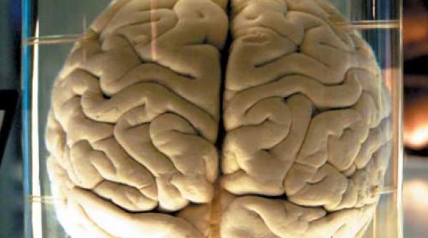 legende la discretie