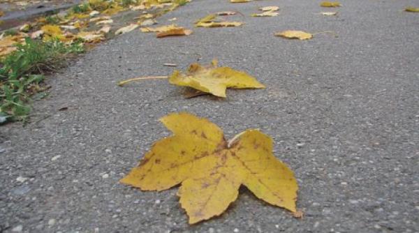 25 de grade in octombrie prima ninsoare in noiembrie viscol in decembrie