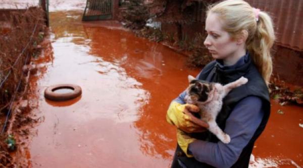 romania risca sa fie atinsa de mareea rosie din ungaria