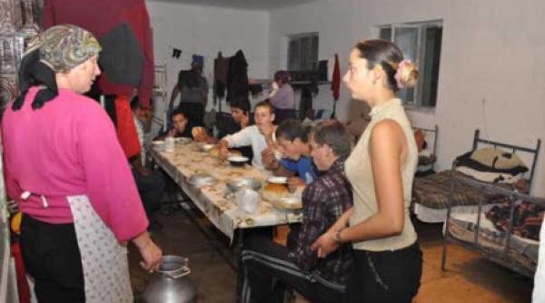 gustul amar al marului romanesc 4