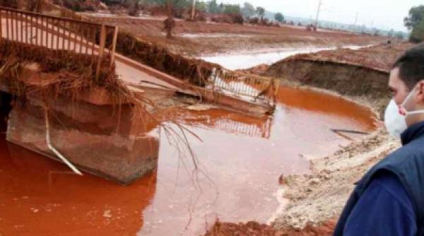 ungurii sustin ca reziduurile toxice au ajuns in dunare ministrul borbely infirma