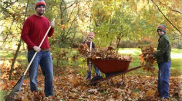 toamna perioada ideala pentru gradinarit