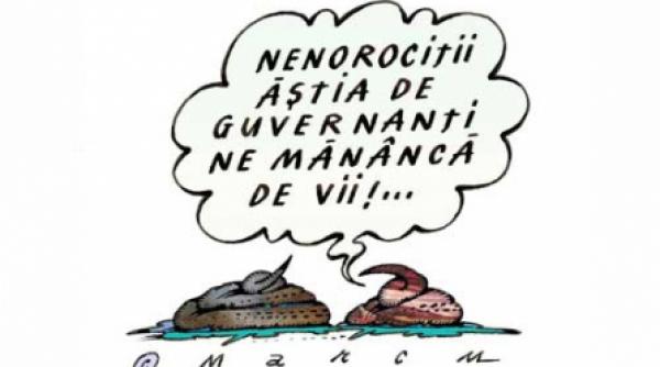 malaxorul portocaliu