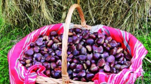 pe carari de munte la polovragi