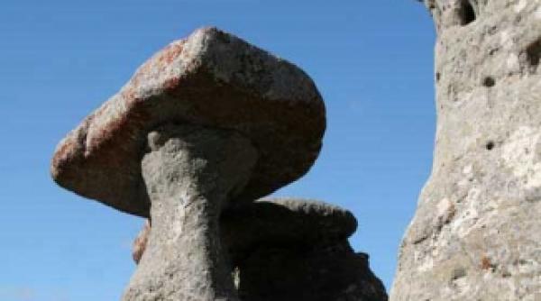 fenomene miraculoase