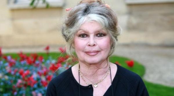 brigitte bardot va candida la presedintia frantei