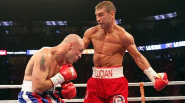 bute un specimen minunat