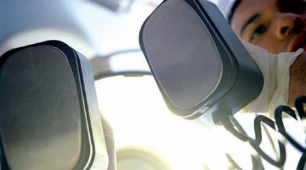 de ce inima cotoroantei din gaitele o ia la galop