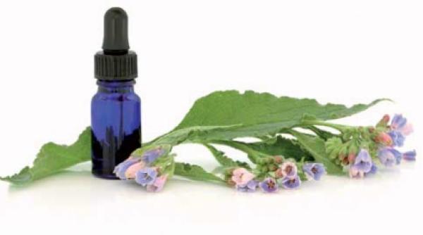 tataneasa dezinfecteaza gingiile