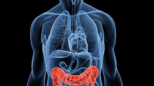 colonul drept si colonul stang reactioneaza diferit