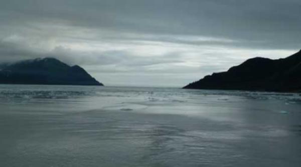 goana dupa alaska vii