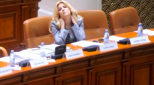 udrea pnl si psd sunt lupi vopsiti care s au infruptat de la masa bogata a statului