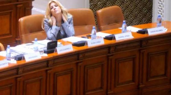 udrea isi impune oamenii la organizatiile de sector