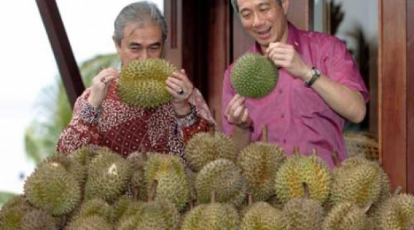 gustoase dar otravitoare