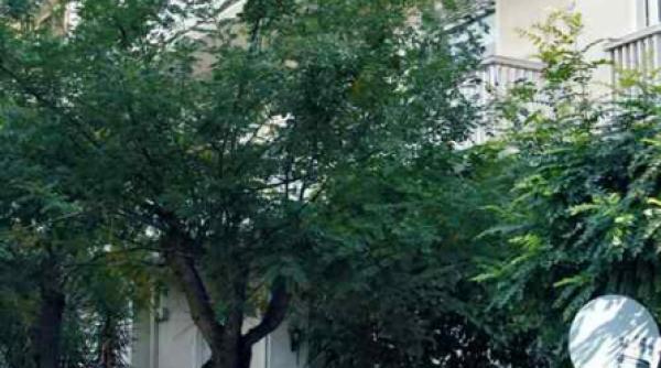 explozie la ambasada elvetiei din atena