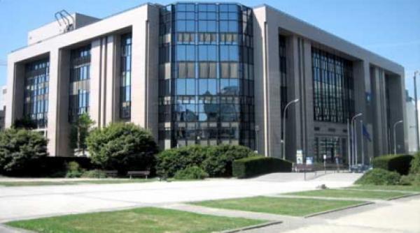 apartheidul pisicilor grase de la bruxelles