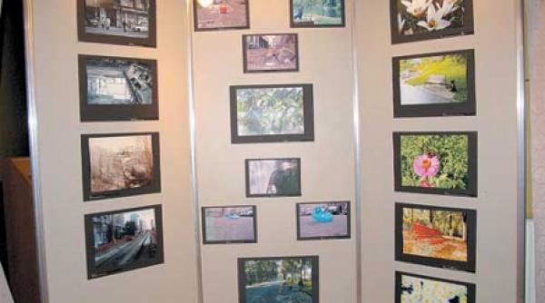 aeriseste bucurestiul parada costumelor reciclabile