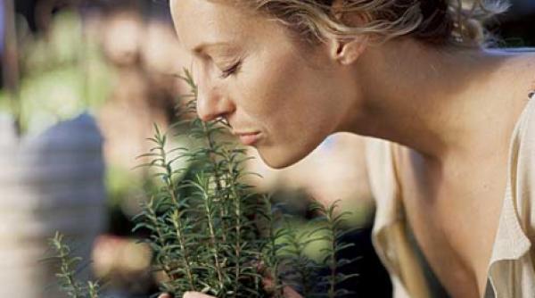 respiratie usoara cu uleiuri esentiale