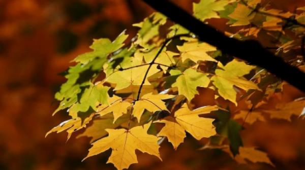 anm nu vom avea o iarna grea