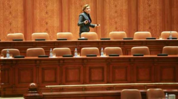 roberta stapana camerei