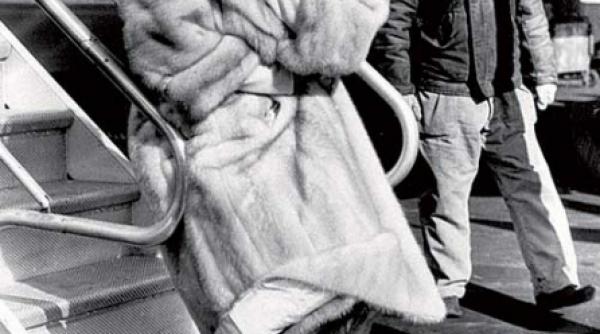 neuronul fan de vedeta