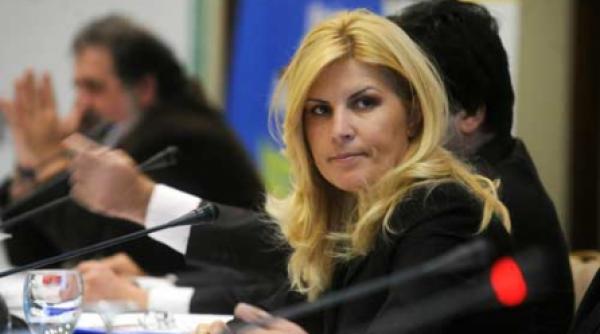 udrea forteaza reabilitarea cladirilor