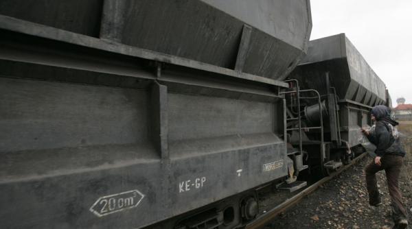 carbunarii corbi pe hoitul de carbune