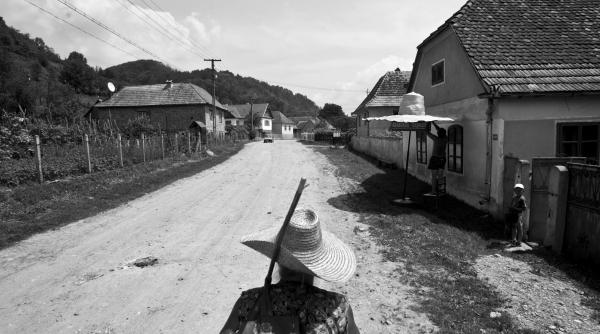 crisani satul palariilor