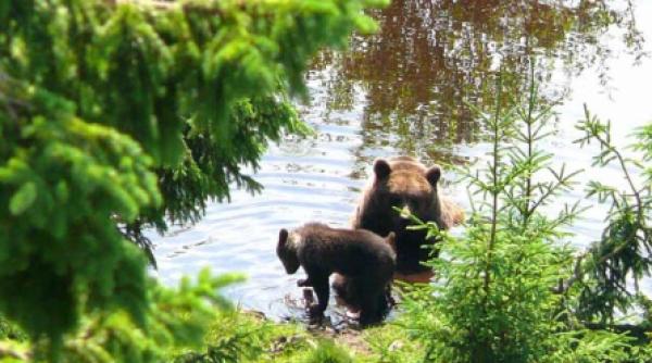 un diagnostic de specialist