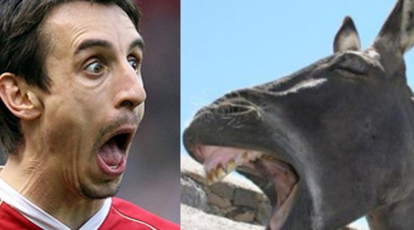 fotbalistii niste animale top 10 asemanari jucatori animale