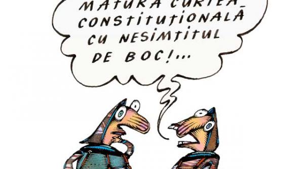 curtea interpreteaza legea emil boc interpreteaza curtea