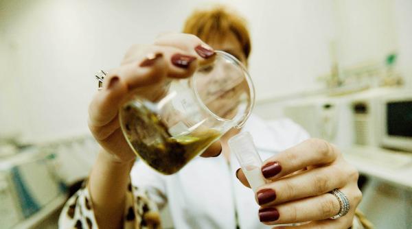 etnobotanicele sunt prafuri create in laborator