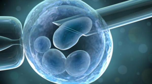 legea care interzice clonarea umana adoptata in senat