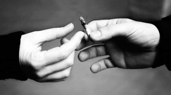 poveste de alungat curiozitatile ucigase ale adolescentilor