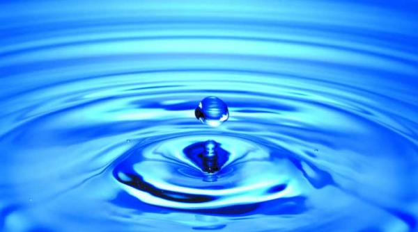 vestitorii muti ai stresului